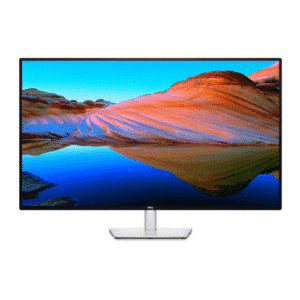 Dell LCD Monitor 43″ Panel IPS 210-BFIS